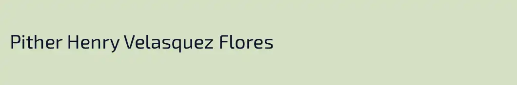 Pither Henry Velasquez Flores